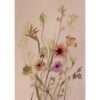 Original Flores #5