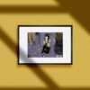 Quiet - Image 2