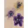Original Flores #16