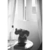 Flores e Poesia