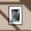 Promegranate - Image 2