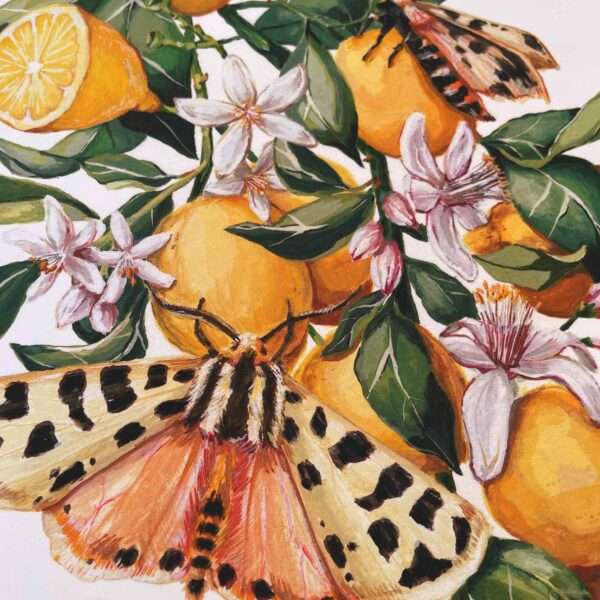 Lemons and Tiger Moths - Image 2