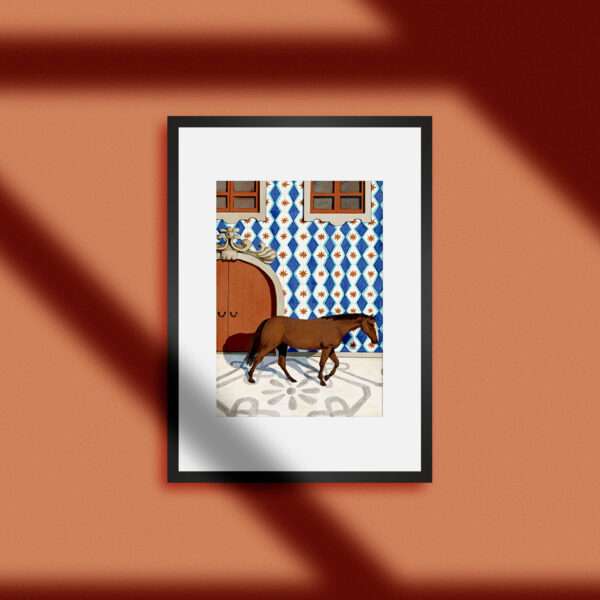 Lusitano - Image 2