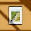 Sunflower Field - Image 2