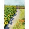 Sunflower Field