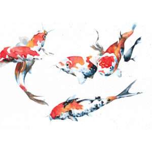Original Peixes #4