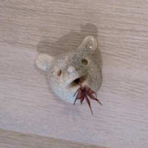 Urso Craquelado Branco